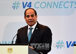  Ai Cập: Tổng thống El-Sisi được ủng hộ tranh cử tái nhiệm  